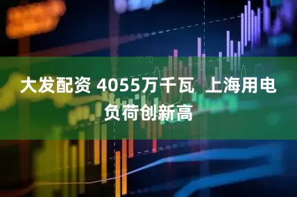 大发配资 4055万千瓦  上海用电负荷创新高