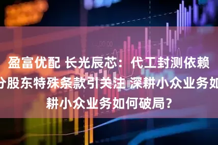 盈富优配 长光辰芯：代工封测依赖海外 部分股东特殊条款引关注 深耕小众业务如何破局？