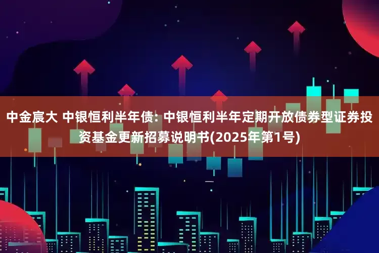 中金宸大 中银恒利半年债: 中银恒利半年定期开放债券型证券投资基金更新招募说明书(2025年第1号)