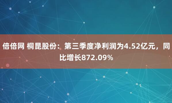倍倍网 桐昆股份：第三季度净利润为4.52亿元，同比增长872.09%
