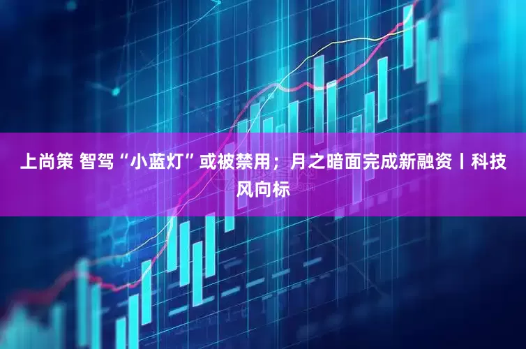 上尚策 智驾“小蓝灯”或被禁用；月之暗面完成新融资丨科技风向标
